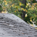 Proactive Tips for Mitigating Roof Damage in Florida